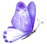 papillon 1