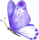 papillon 3