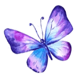 papillon 4